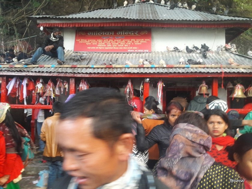   तस्बीरमा मालिका मेला