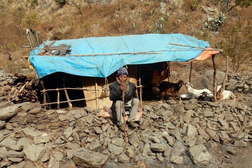  राहत नपाएपछि  बाख्रासँगै सुतेर रात कटाउँछन भूकम्पपीडित