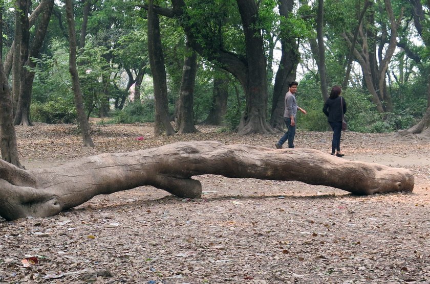   प्रेम जोडीहरुको थलो बन्दै पशुपति भण्डारखाल
