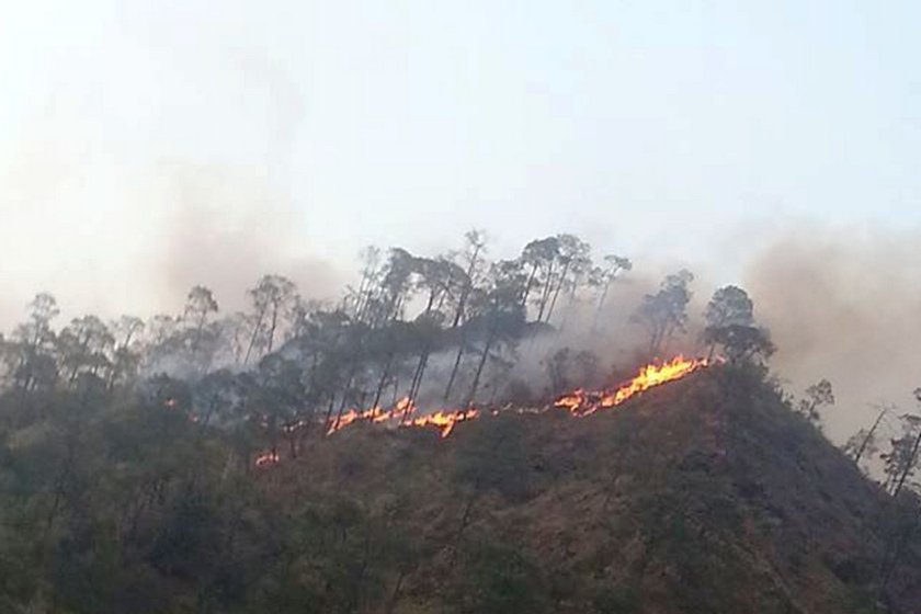   डढेलोबाट १६ हजार हेक्टर वनमा क्षति