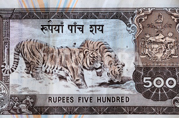   सरकारी कर्मचारीको तलब पाँच सय !