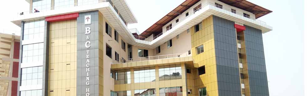 १७ वर्षदेखि साङ्लोमा बाँधिएका लीलाप्रसादको उपचार गर्ने विण्डसीको घोषणा