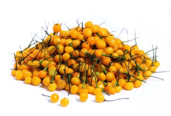 विश्वकै महंगो खुर्सानी, मूल्य किलोको २७ लाख