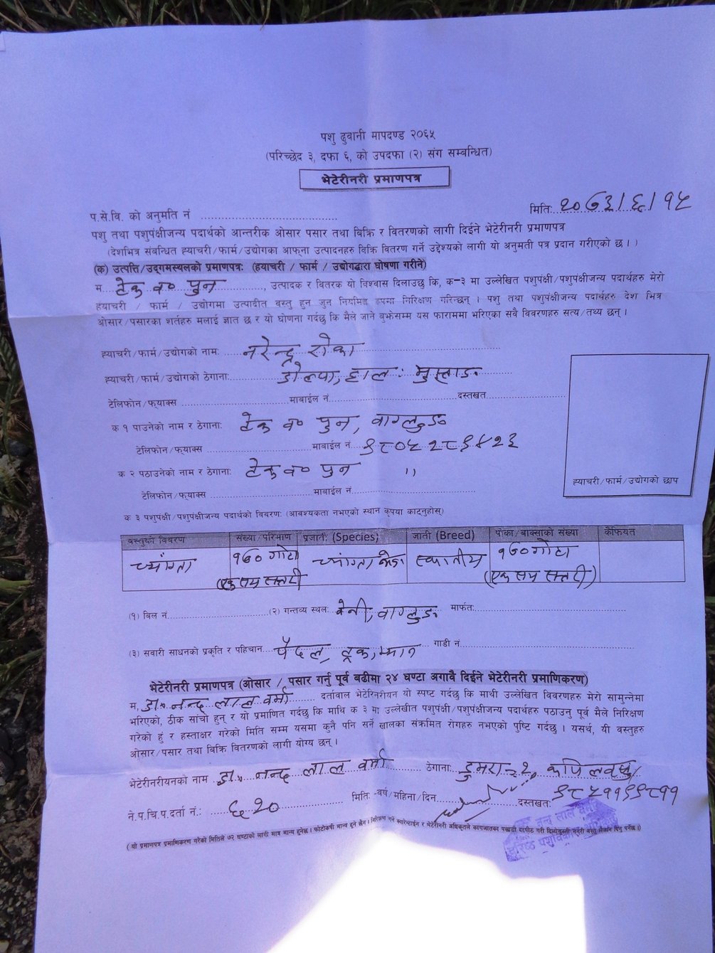 स्वास्थ्य परिक्षण बिनै निरोगीताको प्रमाणपत्र !