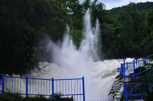 डेभिड फल्समा एक व्यक्ति मृत फेला