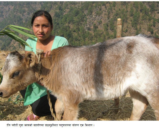  दीप ज्योतीका उज्यालो कर्महरु