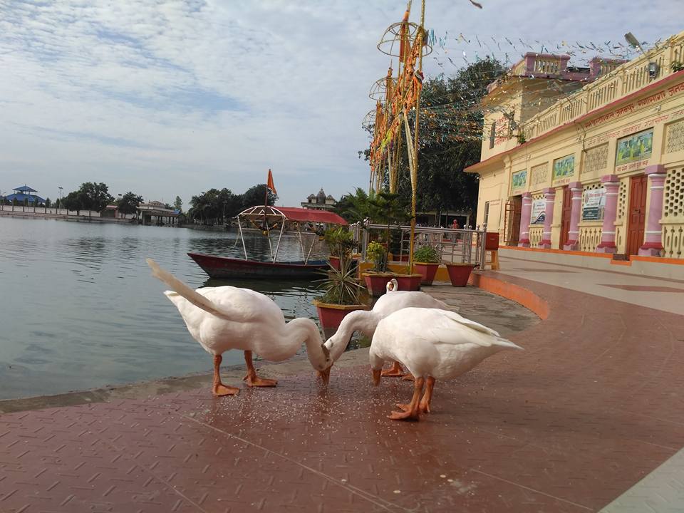   जनकपुरको गंगा सागरमा आज साँझ बिशेष आरती