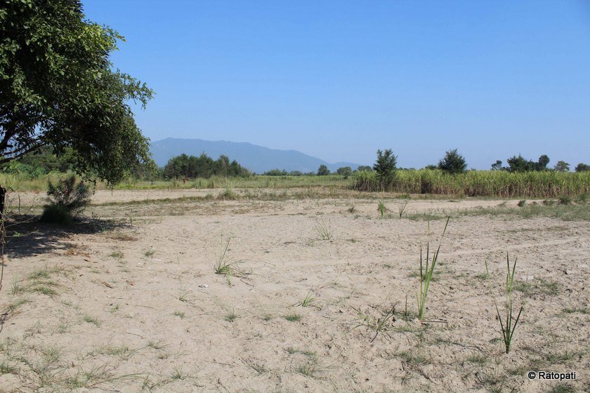   भूमाफियाले जग्गा खाइदिएपछि नवलपरासीका ८० किसानको बिल्लिबाठ