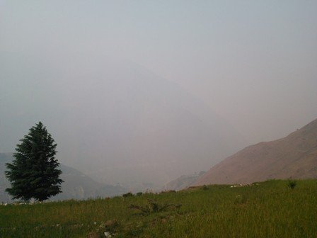   तुवालोले डोल्पा अँध्यारो