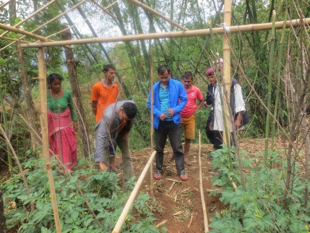 भूकम्प पीडित जिल्लामा व्यवसायिक आयआर्जन अभियान