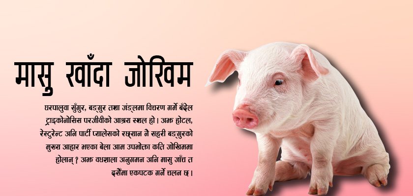सुँगुर, बङ्गुर र बँदेलको मासु उसिनेर मात्र खानुहुन्छ ? होस् गर्नुहोस् !
