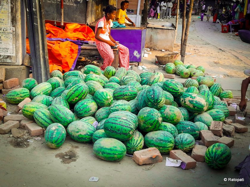   गर्मीसँगै तराई–मधेशमा बढ्यो तरबुजा र काँक्रोको व्यापार