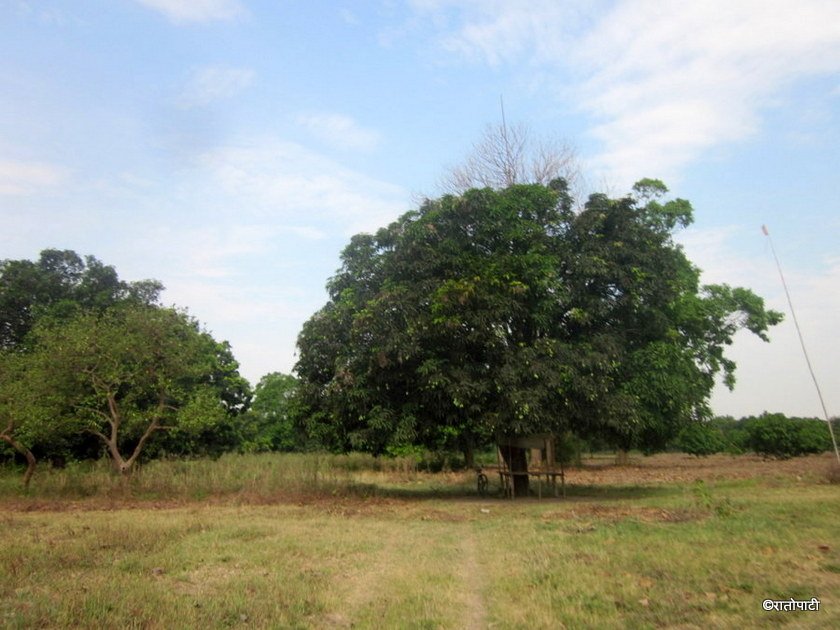   नेपालकै सबैभन्दा ठूलो बगैँचा (फोटोफिचर)