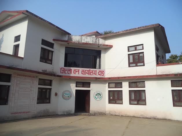   वन तस्करलाई पुर्पक्षका लागि थुनामा राख्न आदेश