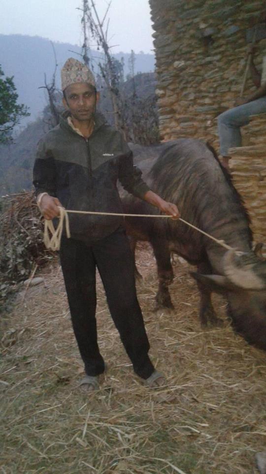   दुई पुस्तादेखि राँगो पालन पेशा