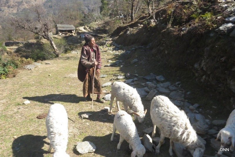  फेरियो सबै, फेरिएन दैनिकी