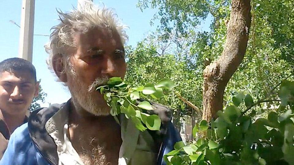 यी हुन् घाँस खाने व्यक्तिः विगत २५ वर्षदेखि घाँस र काठ खाएर जीविकोपार्जन
