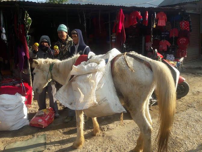   कृषि उत्पादन घोडाबाट बजार पुर्याइदैं