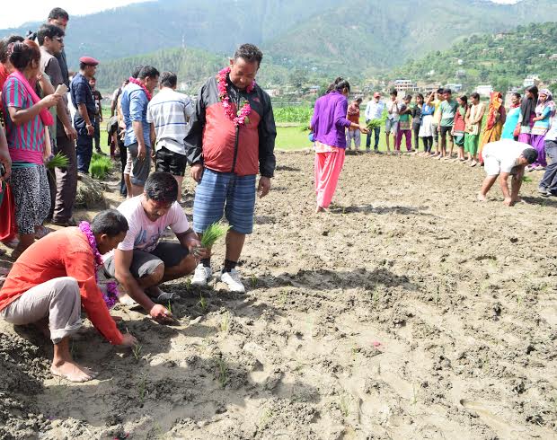 नयाँ प्रविधि भित्र्याउदै असार १५ मनाइयो