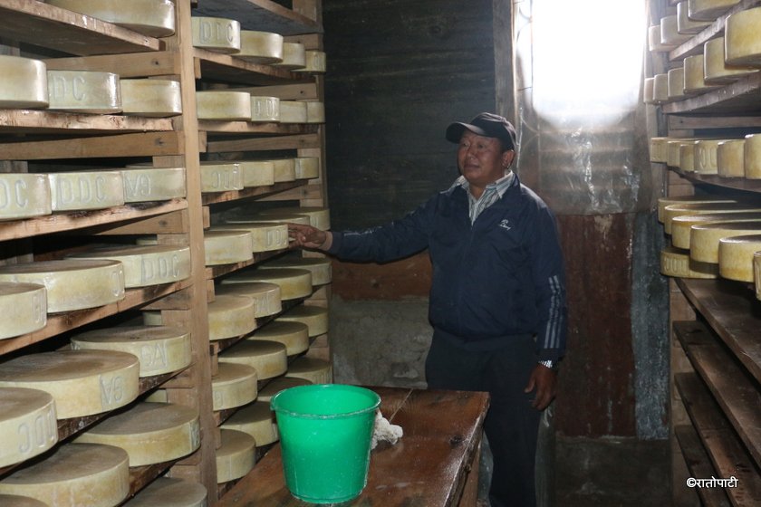   चौँरीगाईको दूध बेचेर लखपति !