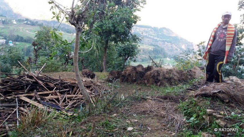   ८१ वर्षीय वृद्धलाई परस्त्रीसँग सम्बन्ध राखेको आरोपमा वनवास पठाइयो
