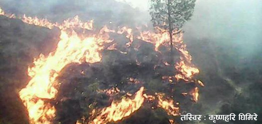   भूकम्पको पीडा बिर्सन नपाउँदै अर्को पिडा : सिन्धुलीमा हिजो शुरु भएको आगलागी अझै नियन्त्रणमा आएन
