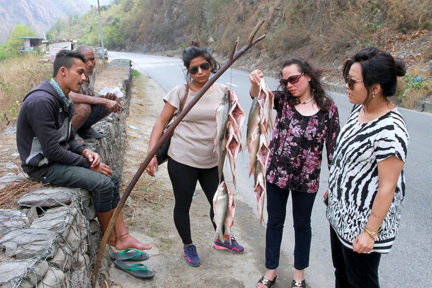  नवलपरासीमा फलाम खानीको विस्तृत अध्ययन हुदै