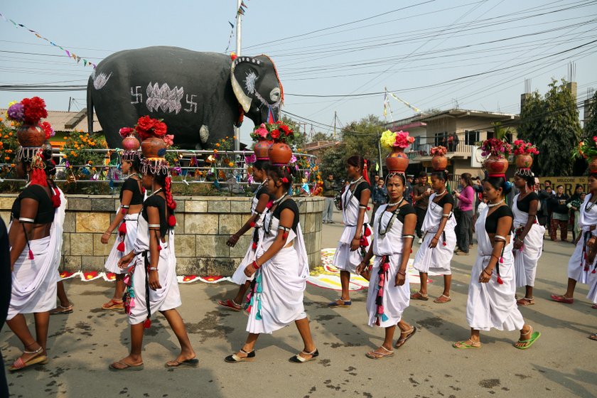   तस्विरमा सौराहाको हात्ती महोत्सव