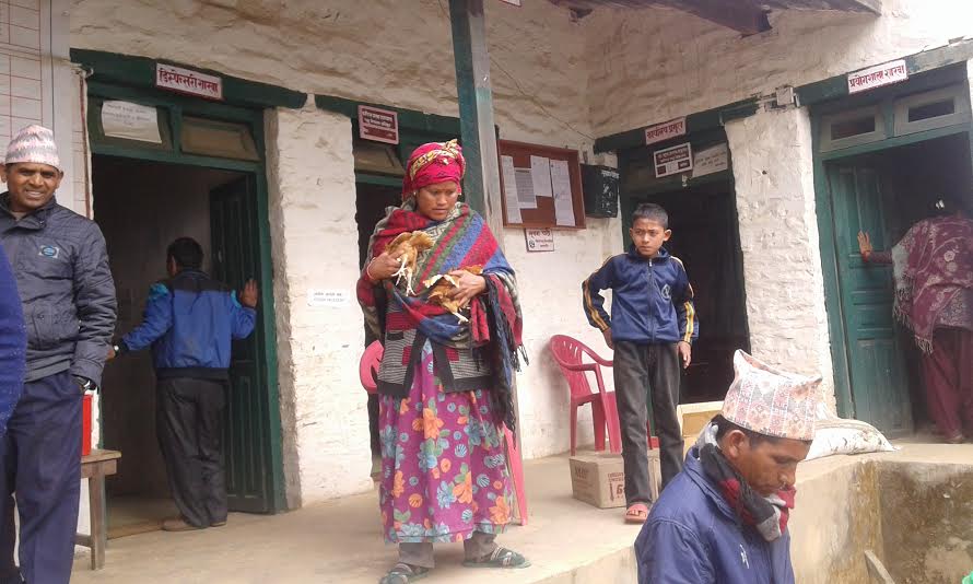   पशु सेवा कार्यालयद्वारा छ हजार कुखुराका चल्ला वितरण