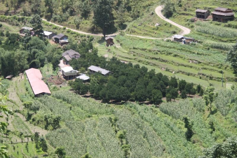 कृषि क्षेत्रमा बजेट बढ्दो, उत्पादन घट्दो