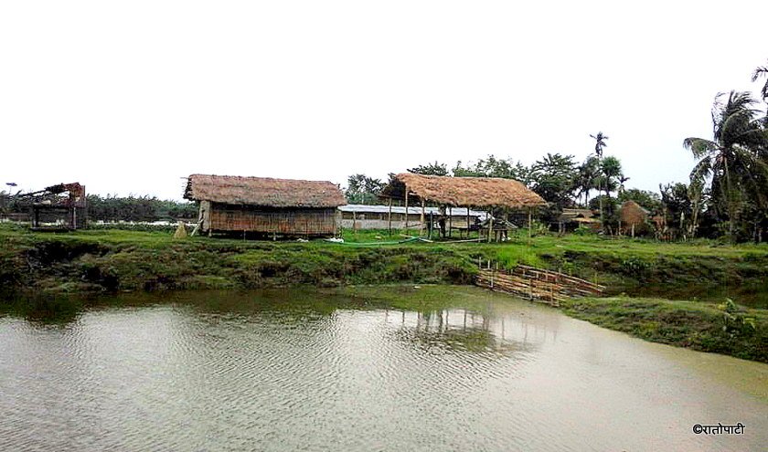   माछा हेर्दै दिन बिताउँछन् यी पूर्वमन्त्री