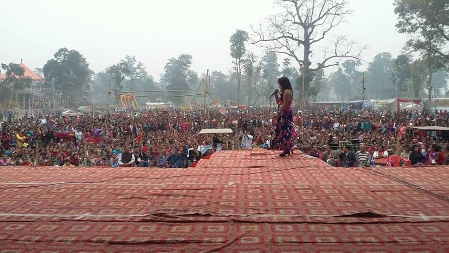   महोत्सवमा दर्शकको घुईँचो