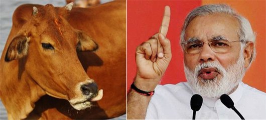   मोदी र सलमानलाई पछि पार्दै गाई बन्यो याहु ‘पर्सनालिटी अफ द इयर’