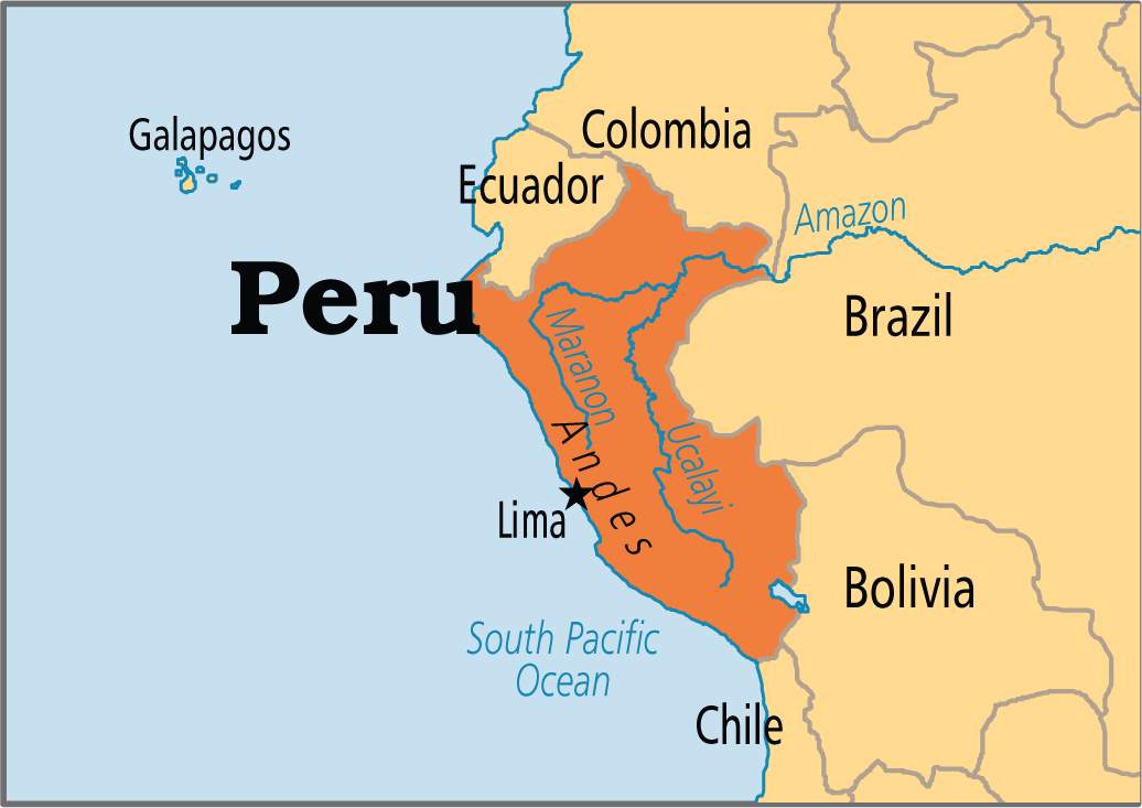 सरकार विरोधी प्रदर्शनमा पेरुमा १२ जनाको मृत्यु