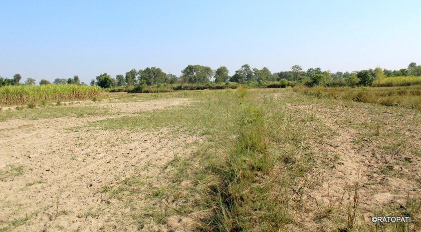   भूमाफियाले जग्गा खाएपछि न्यायको खोजीमा नवलपरासीका किसान