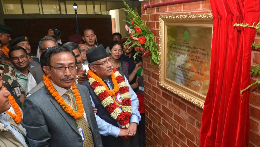   प्रचण्डले भने– मैले ठूलो जिम्मेवारी पूरा गरेँ