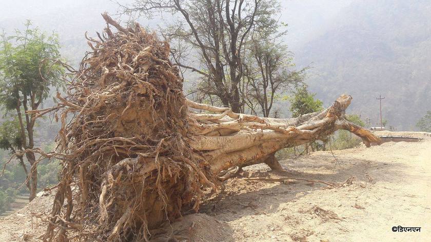   ‘खै पँधेरो ? –मोटर बोटोले खायो, खै बाटो ? –पहिरोले लग्योे’