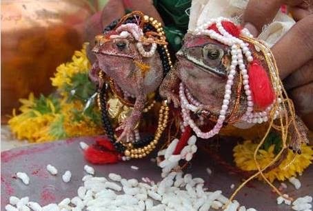  पानी नपरेपछि भ्यागुताको बिहे
