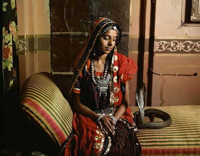 ककुरदेखि पिज्जासँग : विश्वका ५ अनौठो विवाह