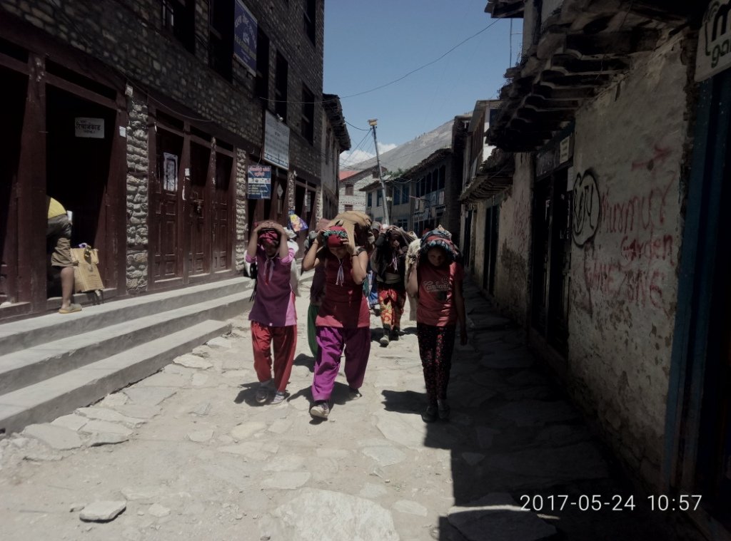   डोल्पामा यार्सागुम्बा खोज्न हिमाली पाटनतर्फ जानेको ताँती,  गाउँघर र स्कुल सुनसान