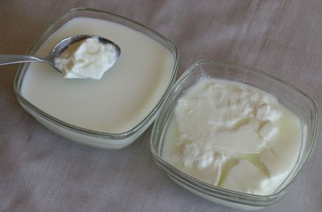 आयुर्वेदका कुराः बिर्सेर पनि सँगै नखानुहोस् यी १० खानेकुरा