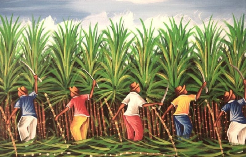 Sugarcane farmers announce agitation