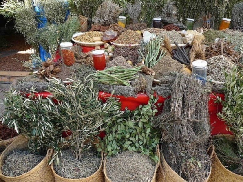 Priceless herbals being exported at Rs 20 per kg