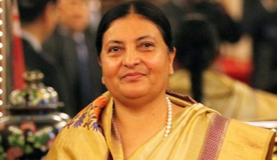 Govt efforts timely, effective to control COVID-19: President Bhandari