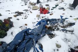 Waste collected from Sagarmatha
