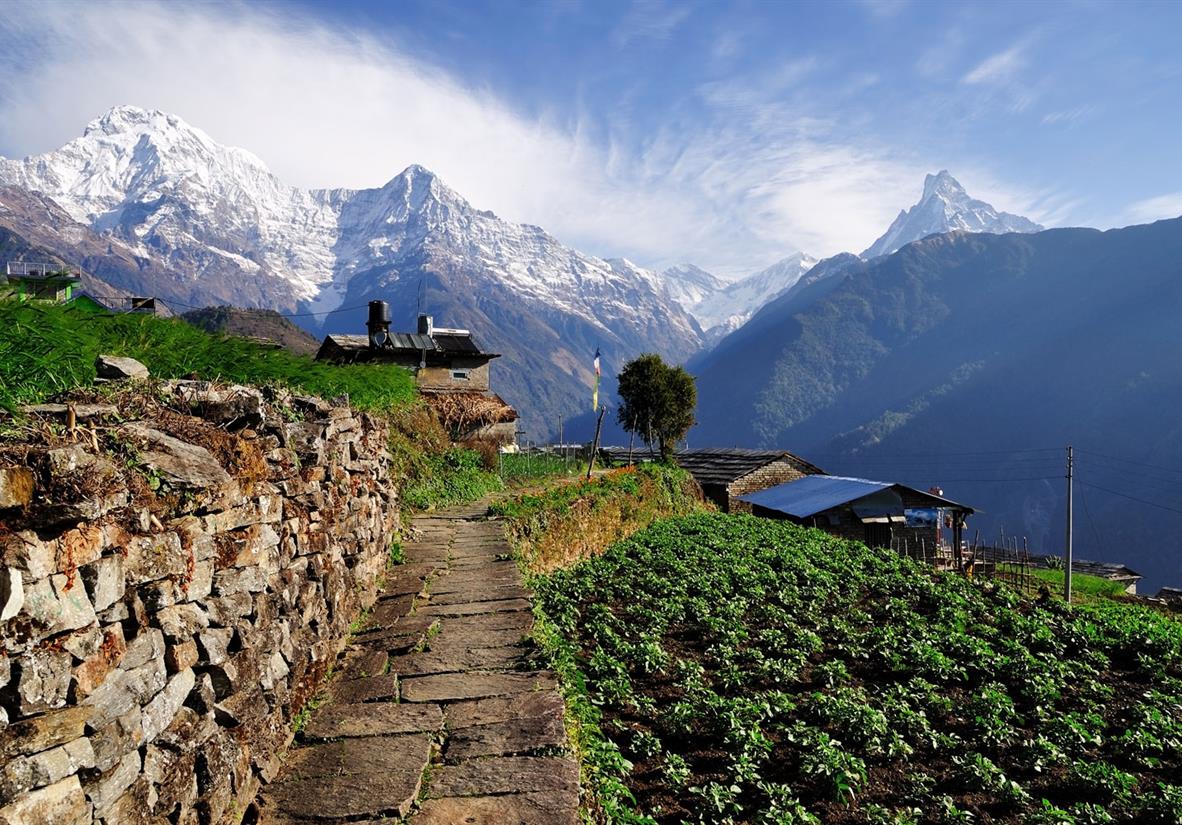 Corona effect all-pervasive in Annapurna trek