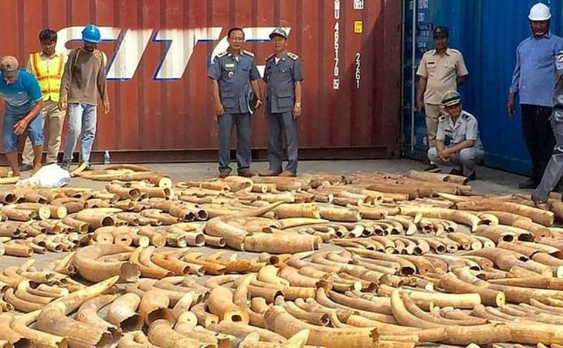 Cambodia seizes record 3-tonne haul of African ivory