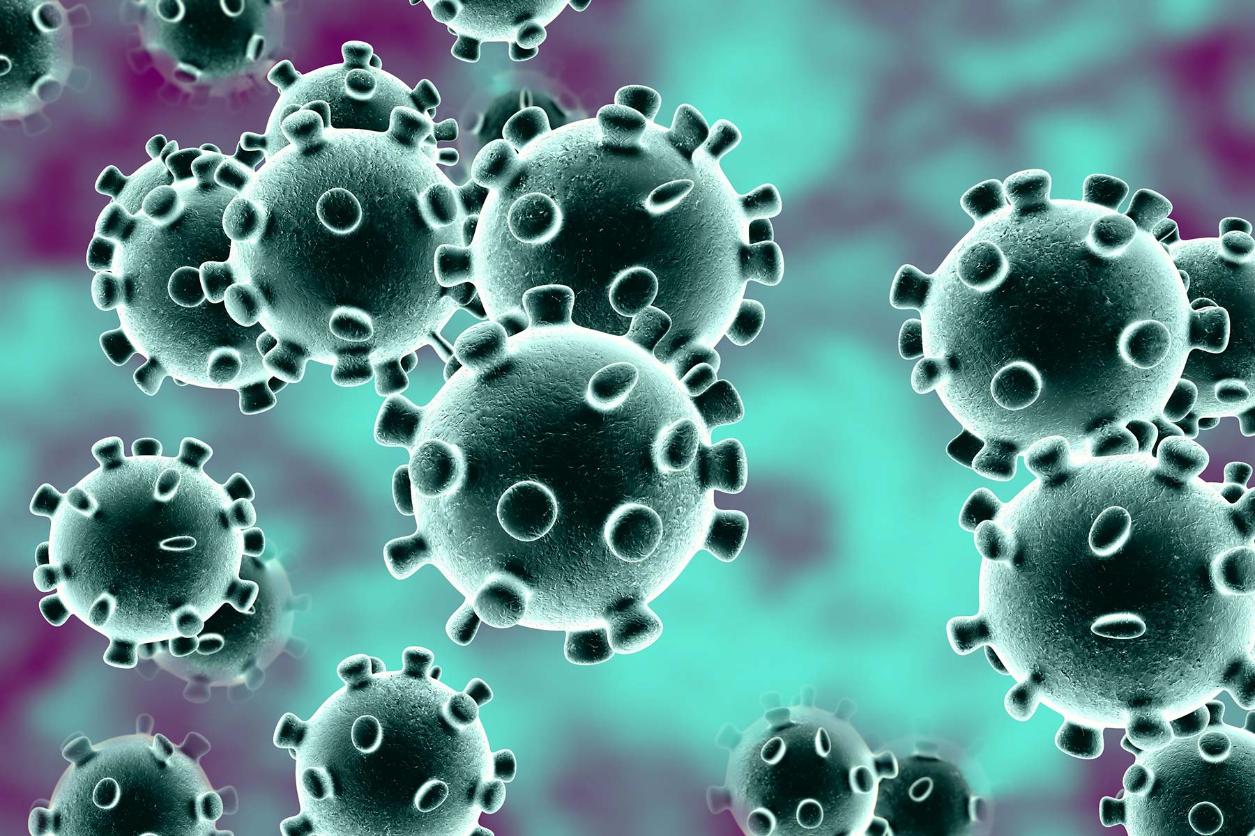 Twenty coronavirus infected return home after recovery