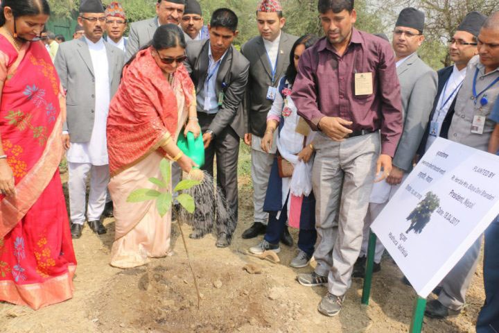 President Bhandari calls for protecting the nature