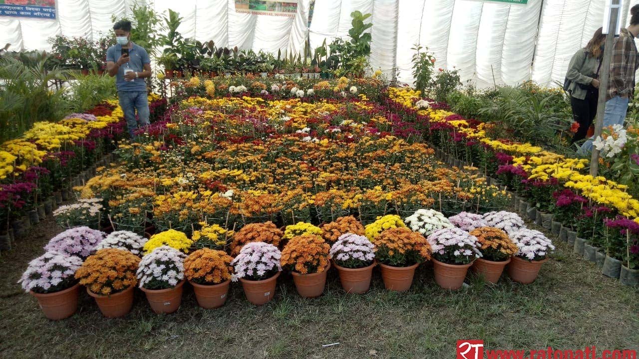 PHOTOS: 14th Godavari Flower Exhibition kicks up ahead of Tihar festival